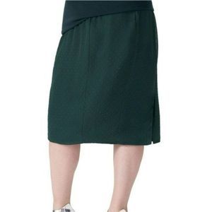 NWOT Universal Standard Blair swiss dot chiffon skirt kelly green size 14/16
